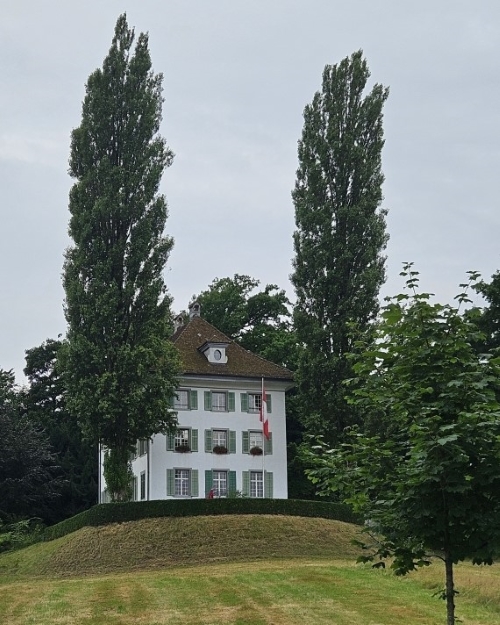 Ladas Klassikwelt 115: Richard Wagner Museum Luzern  klassik-begeistert.de, 22. Juli 2025