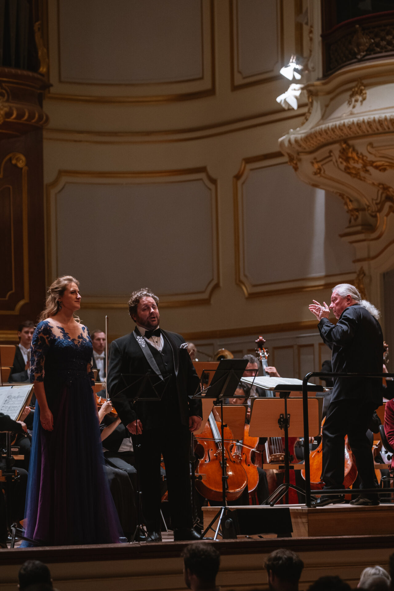 Vielharmonie “Fülle des Wohllauts”  Laeiszhalle Hamburg, 6. November 2025