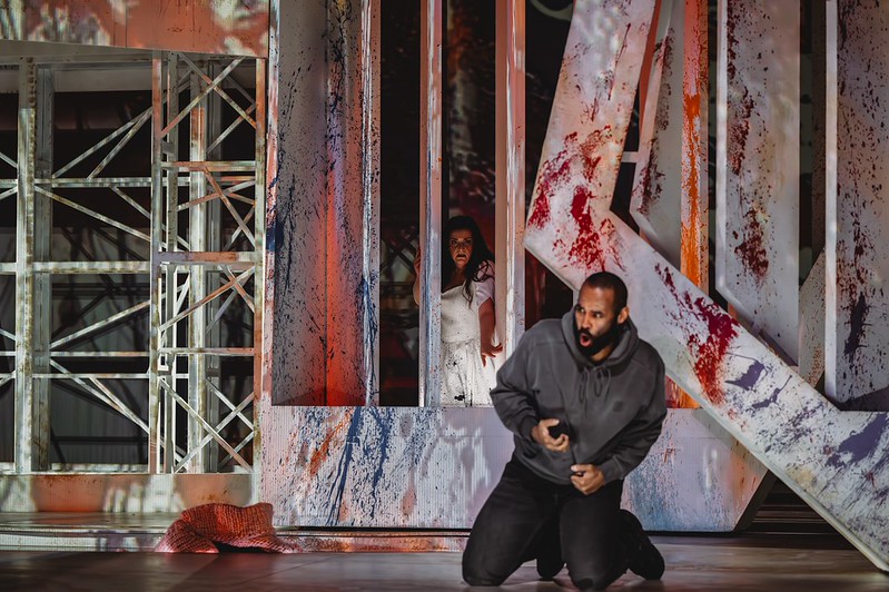 55184158568_0cc92187eb_c