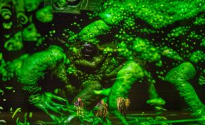 Halbzeitbilanz: Richard Wagner, Das Rheingold II, Die Walküre II  Bayreuther Festspiele, 4. & 5. August 2026
