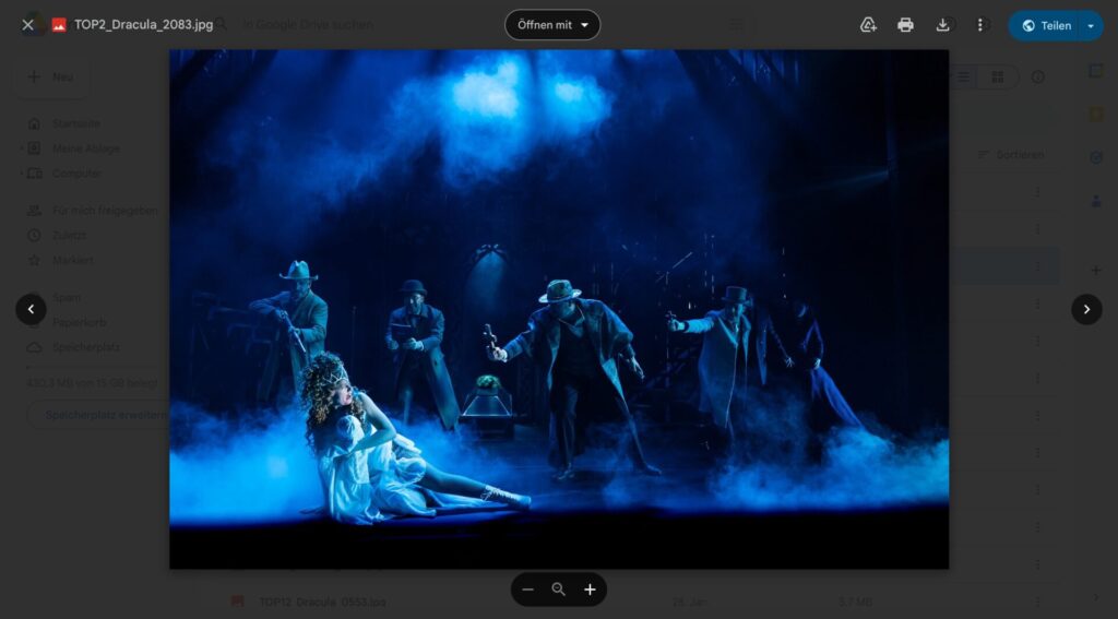 Showfotos 2(c) Nico Moser – Google Drive