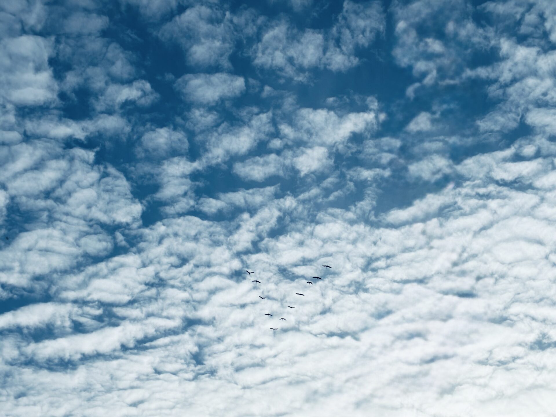 3. Philharmonisches Konzert, Von Freibeutern und Freiheitskämpfern  Musiktheater, Die Glocke, Das Bremer Konzerthaus, 24. November 2025