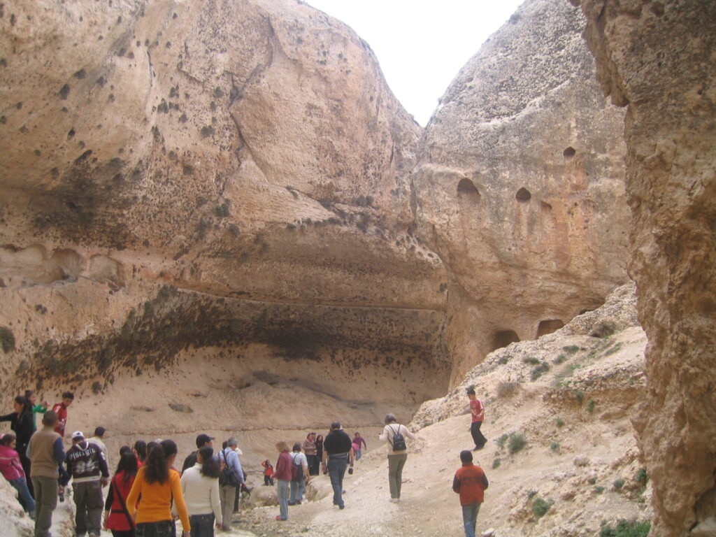 image003-2